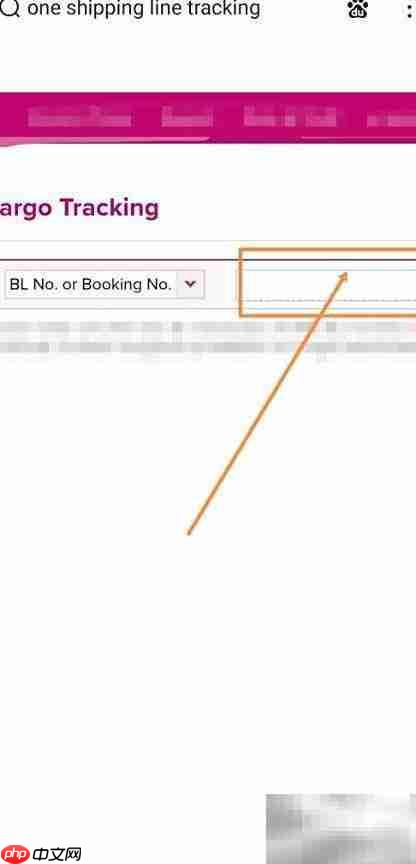 ONE SHIPPING货物跟踪查询指南