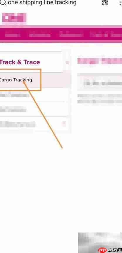 ONE SHIPPING货物跟踪查询指南
