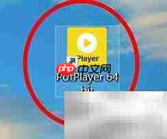 PotPlayer D3D显示模式解析