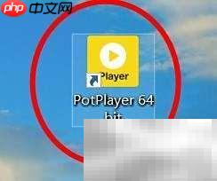 PotPlayer D3D显示模式解析