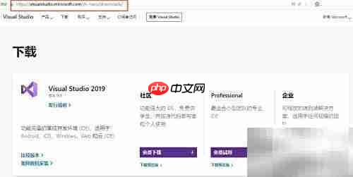 安装VS2019:详细步骤指南