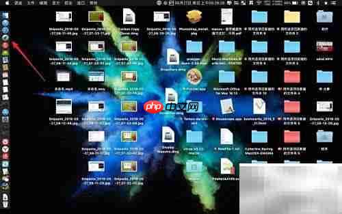 Tipard MP4转换器Mac版下载使用指南