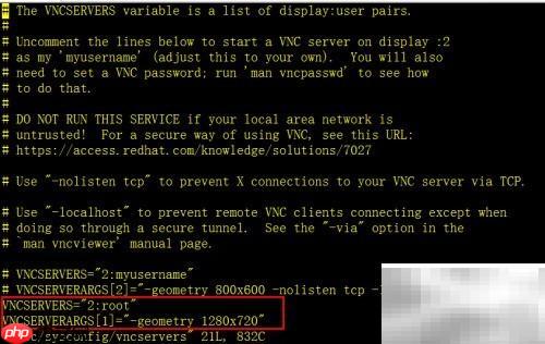 安装VNC服务器指南