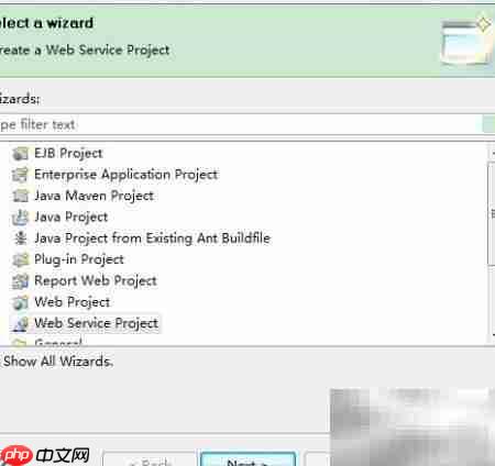 Web服务搭建指南