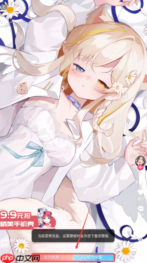 《小鸟壁纸》设置壁纸方法