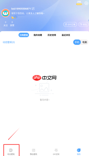 《小鸟壁纸》设置壁纸方法