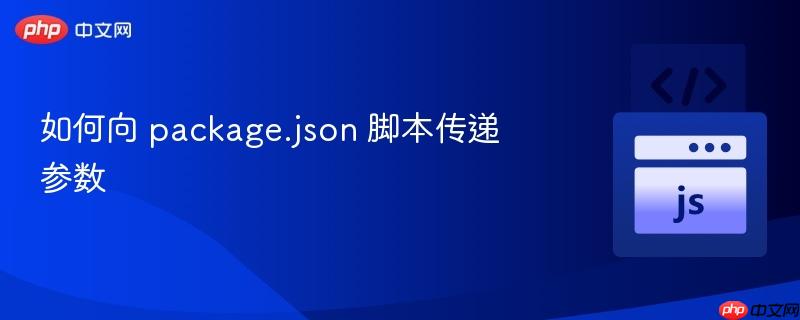 如何向 package.json 脚本传递参数 如何向 package.json 脚本传递参数