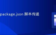 如何向 package.json 脚本传递参数