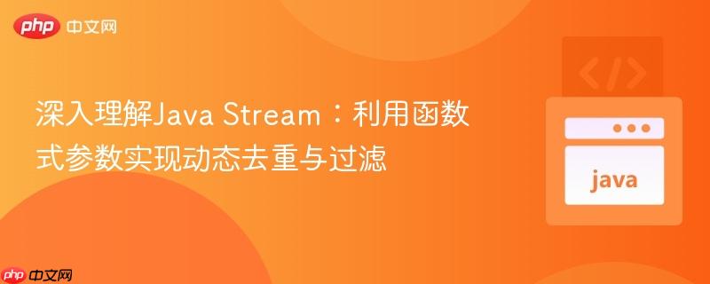 深入理解Java Stream:利用函数式参数实现动态去重与过滤
