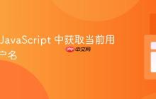 如何在 JavaScript 中获取当前用户的用户名