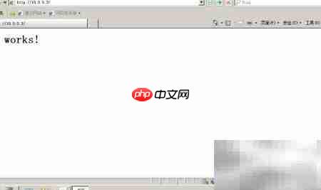 Apache开启指定Web日志