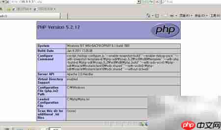 Apache开启指定Web日志