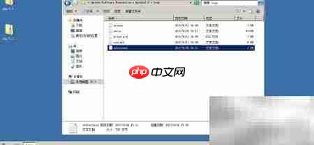 Apache开启指定Web日志