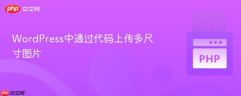 WordPress中通过代码上传多尺寸图片