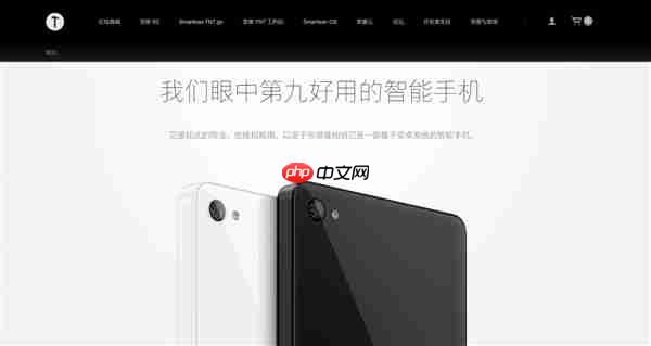 博主发现2025年了锤子官网依然能打开:锤子T1广告语变了