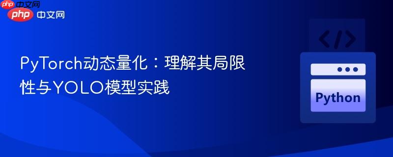 PyTorch动态量化：理解其局限性与YOLO模型实践
