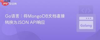 Go语言：将MongoDB文档直接转换为JSON API响应
