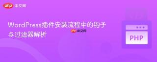 WordPress插件安装流程中的钩子与过滤器解析