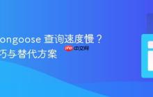 使用 Mongoose 查询速度慢?优化技巧与替代方案