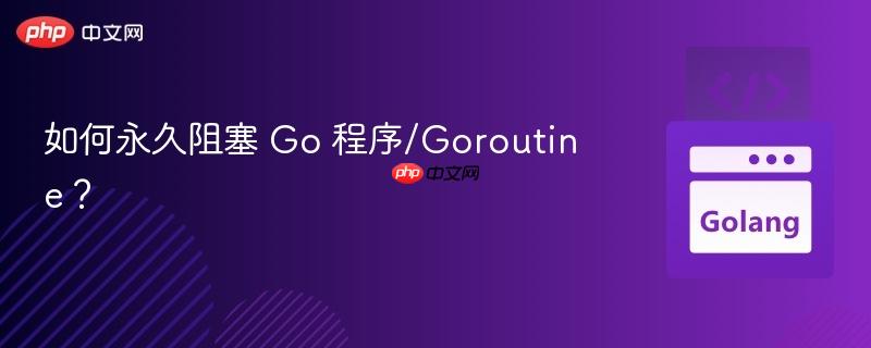 如何永久阻塞 go 程序/goroutine？