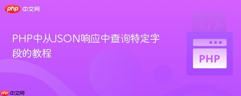 PHP中从JSON响应中查询特定字段的教程