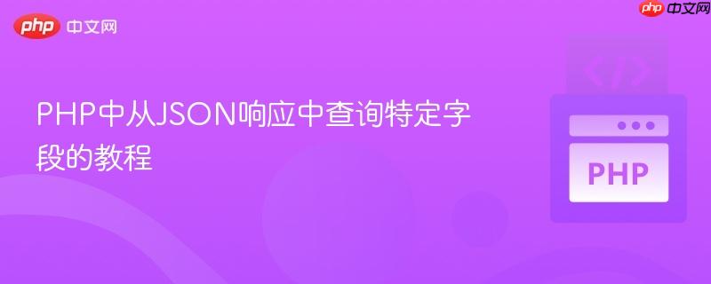 PHP中从JSON响应中查询特定字段的教程