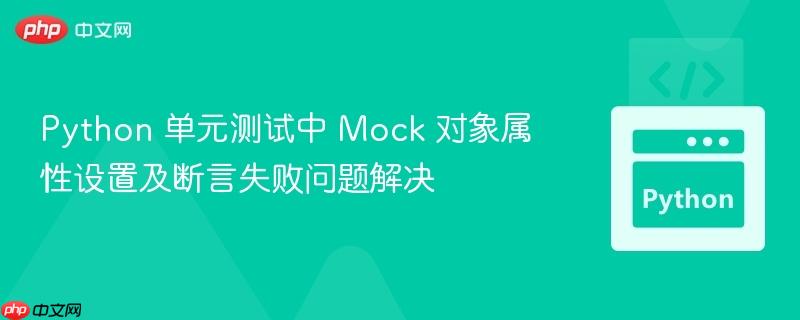 python 单元测试中 mock 对象属性设置及断言失败问题解决