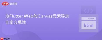 为Flutter Web的Canvas元素添加自定义属性