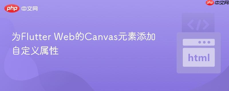 为Flutter Web的Canvas元素添加自定义属性
