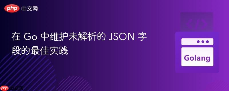 在 Go 中维护未解析的 JSON 字段的最佳实践 在 Go 中维护未解析的 JSON 字段的最佳实践