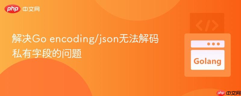 解决Go encoding/json无法解码私有字段的问题