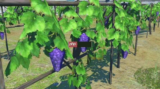 《最终幻想14》搞笑梗图再现!《宝可梦传说:Z-A》中出现"多边形葡萄"