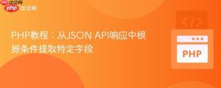 PHP教程：从JSON API响应中根据条件提取特定字段
