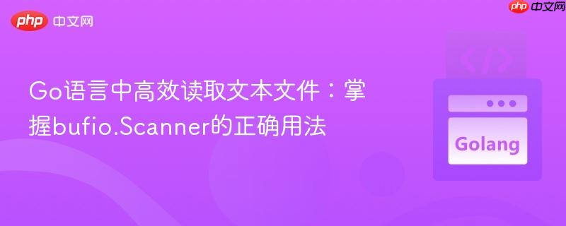 Go语言中高效读取文本文件:掌握bufio.Scanner的正确用法