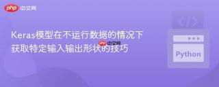 Keras模型在不运行数据的情况下获取特定输入输出形状的技巧