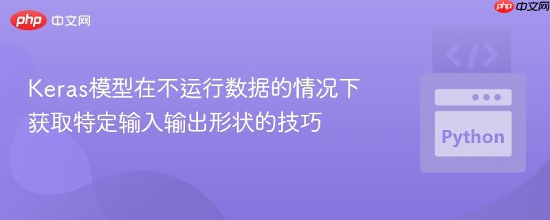 Keras模型在不运行数据的情况下获取特定输入输出形状的技巧