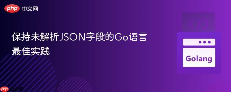 保持未解析json字段的go语言最佳实践