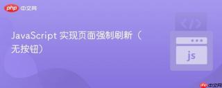 JavaScript 实现页面强制刷新（无按钮）