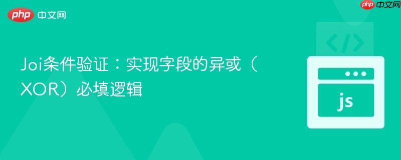 Joi条件验证:实现字段的异或(XOR)必填逻辑