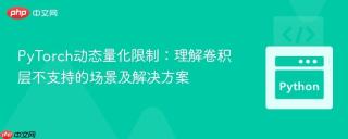 PyTorch动态量化限制：理解卷积层不支持的场景及解决方案