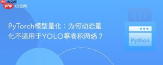 PyTorch模型量化：为何动态量化不适用于YOLO等卷积网络？
