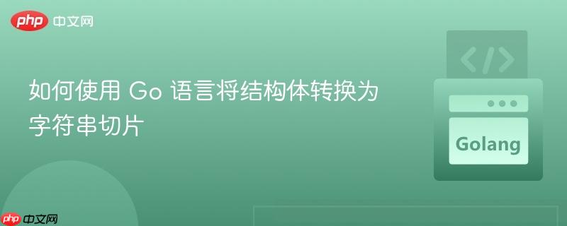 如何使用 Go 语言将结构体转换为字符串切片