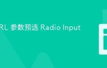 使用 URL 参数预选 Radio Input 的教程