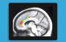 国外新研究 游玩10周大脑训练类游戏可抵消10年脑退化