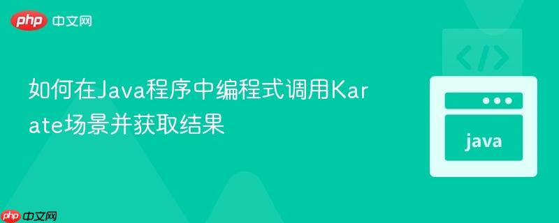 如何在java程序中编程式调用karate场景并获取结果