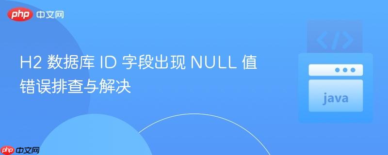 h2 数据库 id 字段出现 null 值错误排查与解决