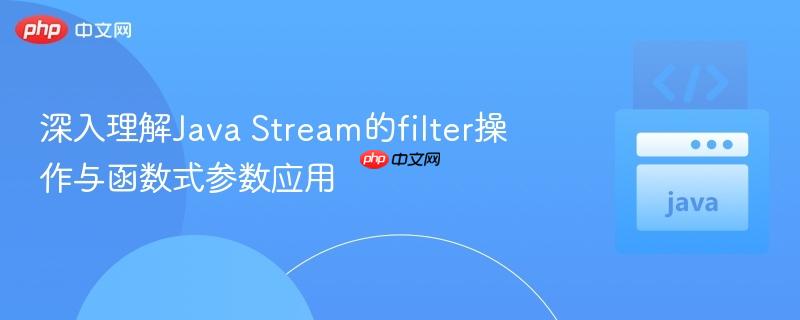 深入理解Java Stream的filter操作与函数式参数应用