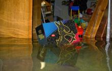 倒霉网友万元宝可梦卡牌被淹 保险理赔仅"按纸板称重"