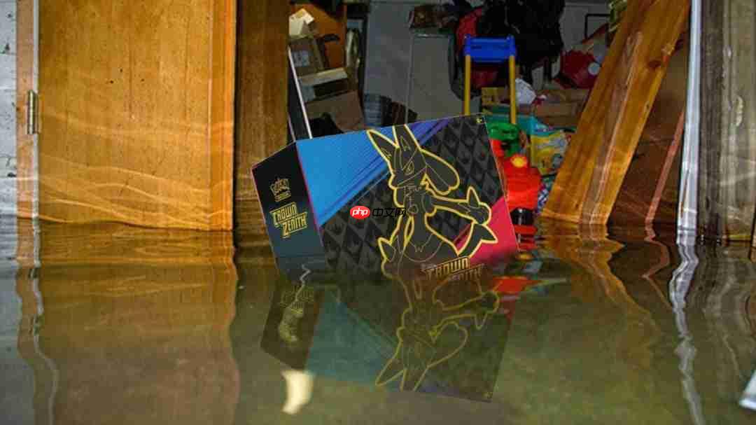 倒霉网友万元宝可梦卡牌被淹 保险理赔仅