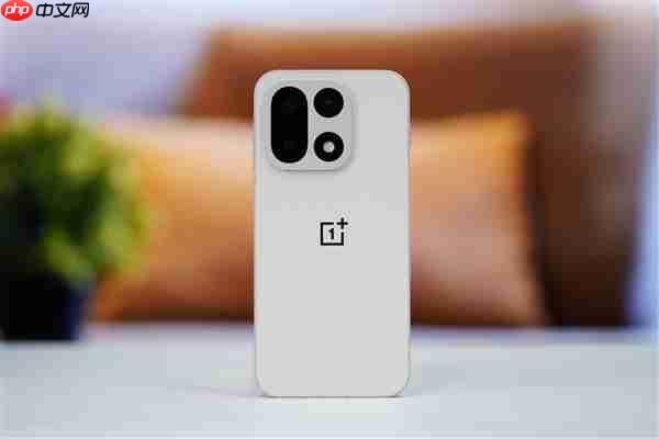 行业第一块165Hz高刷高分屏!一加15图赏